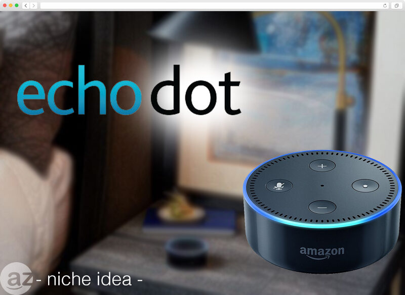 amazon-echo-dot-niche-idea-2